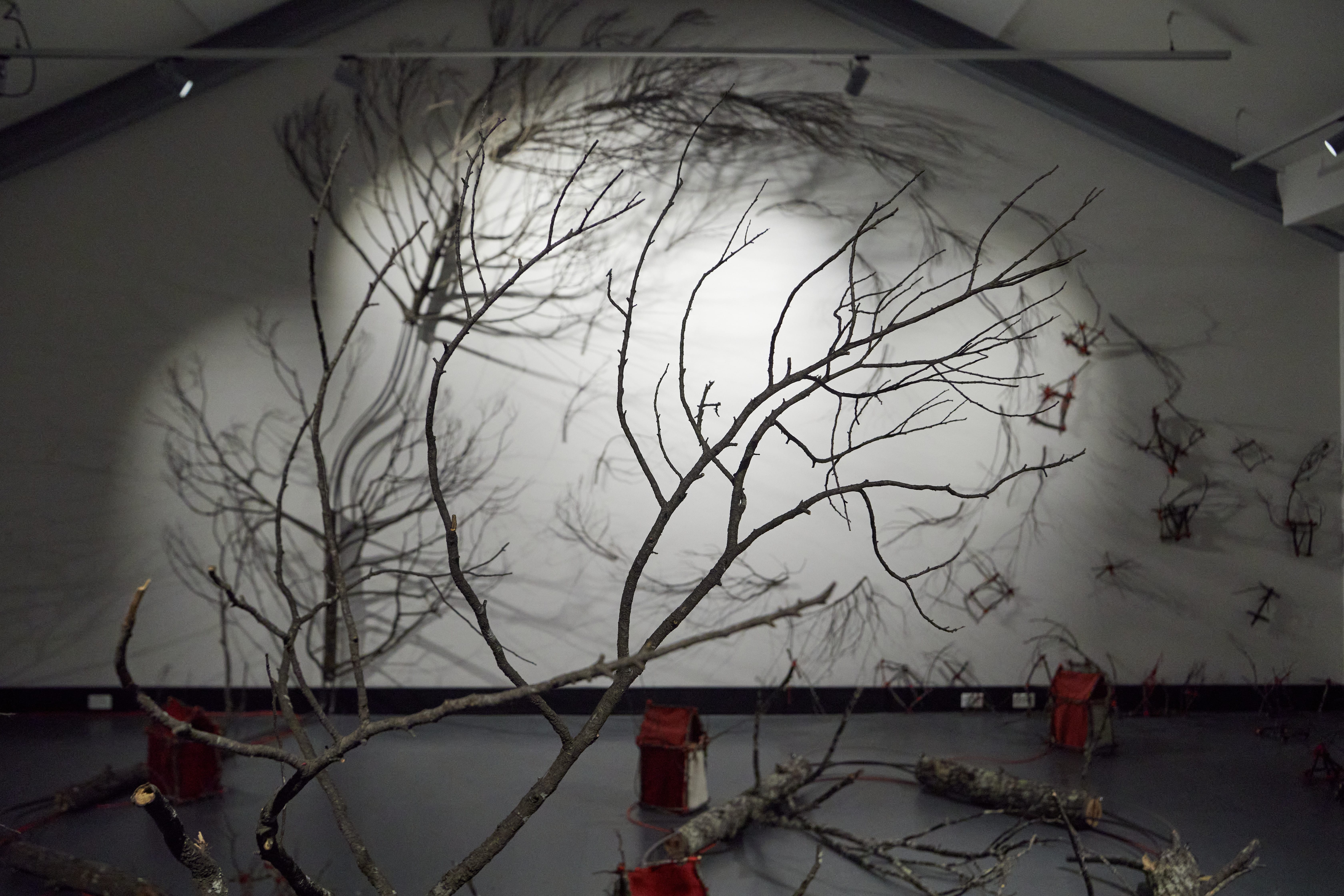 Derryn Derryn WORK